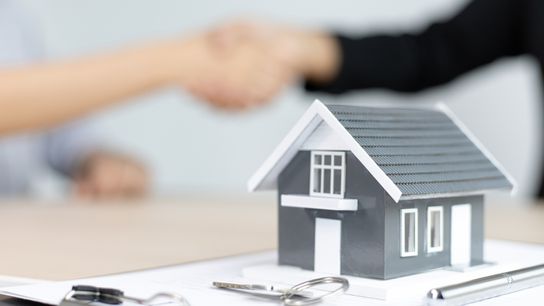 Tampa Bay Realtors (realtors)
